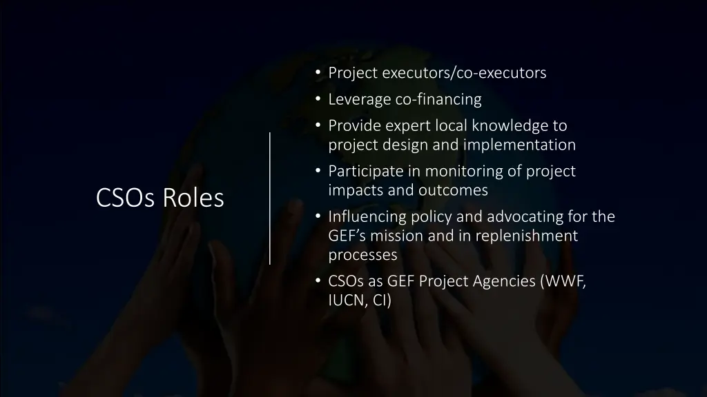 project executors co executors leverage
