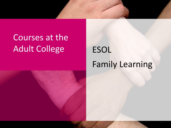 courses at the adult college