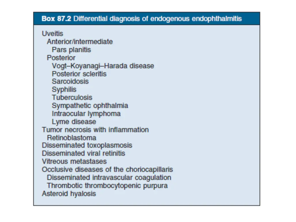 slide24