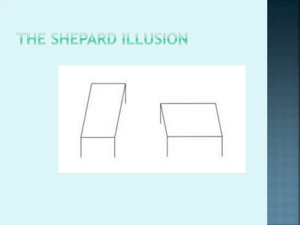 the shepard illusion