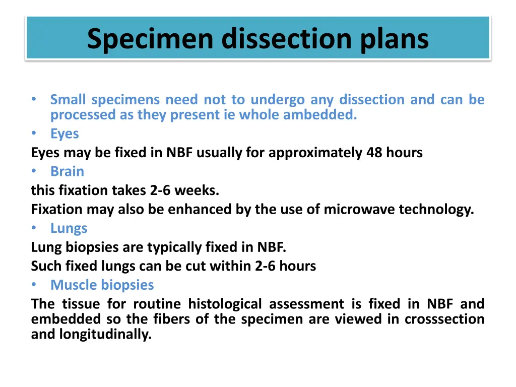 specimen dissection plans