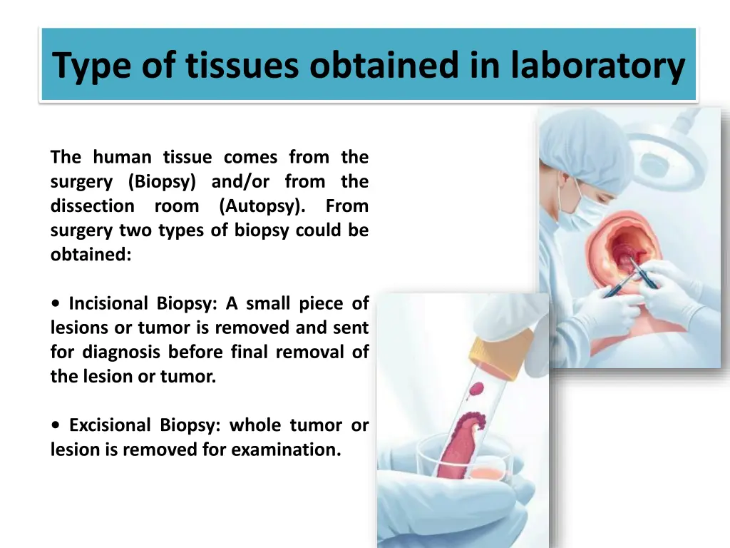type of tissues obtained in laboratory