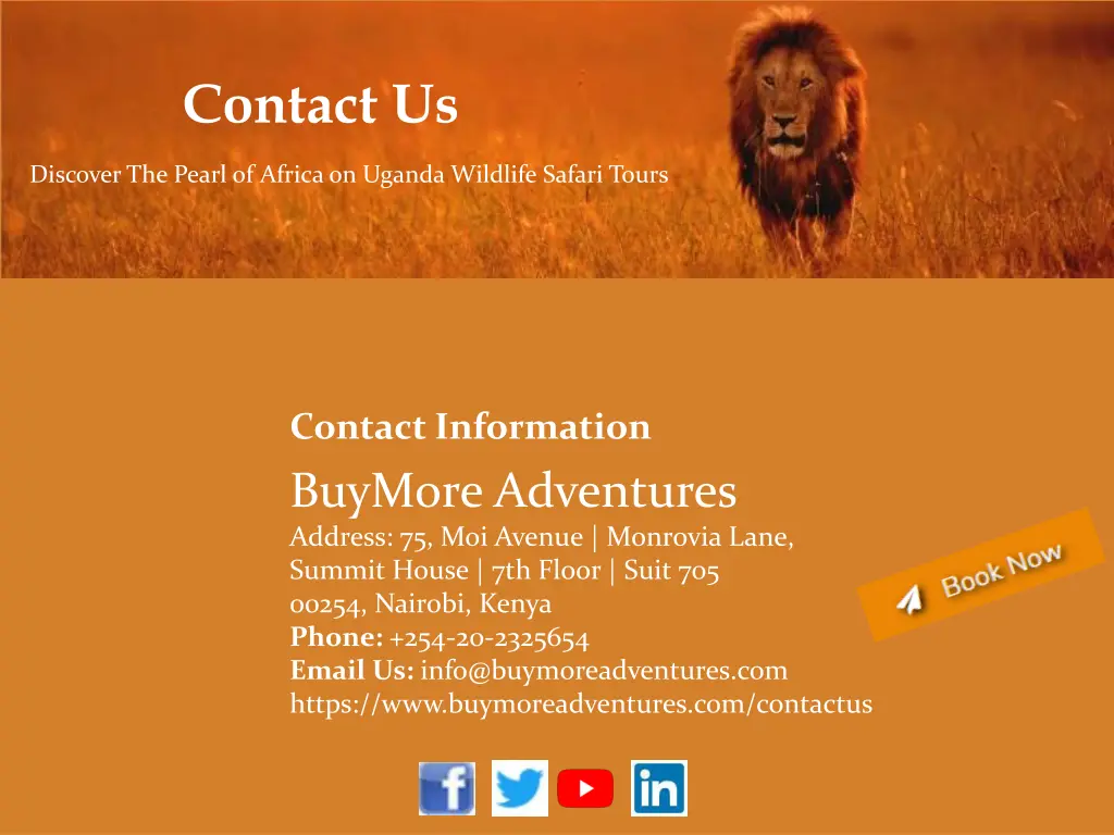 contact us