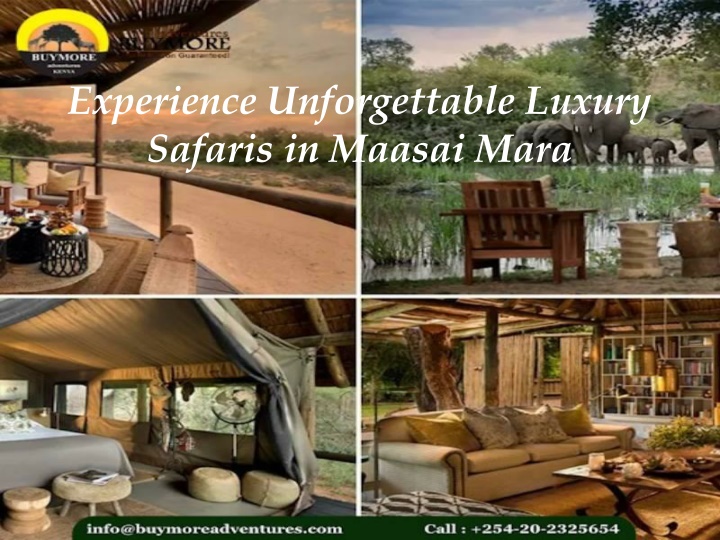 experience unforgettable luxury safaris in maasai