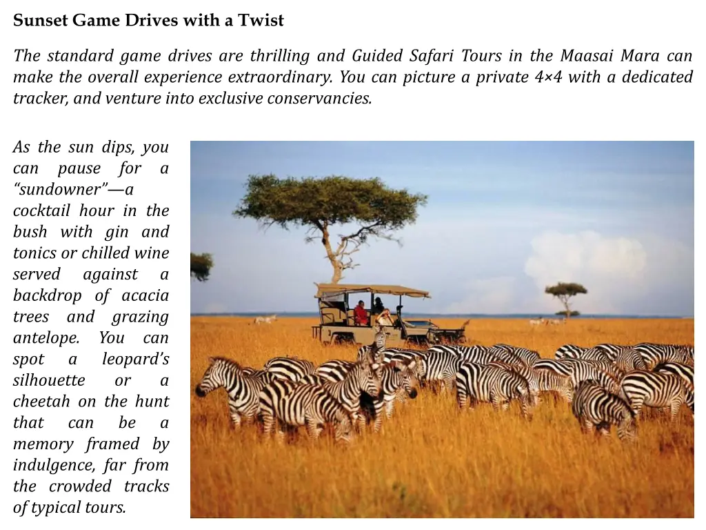 sunset game drives with a twist