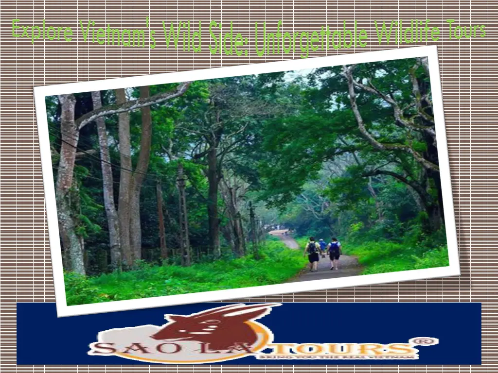 explore vietnam s wild side unforgettable 1