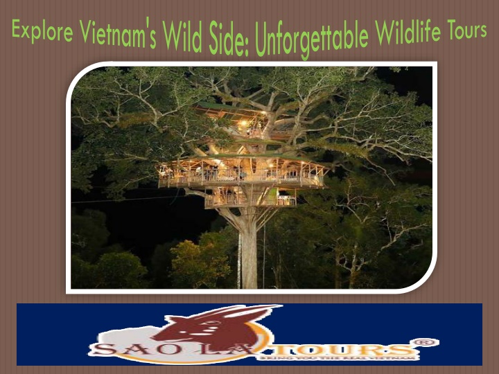 explore vietnam s wild side unforgettable