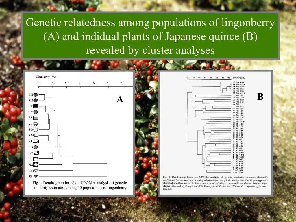 genetic relatedness among populations