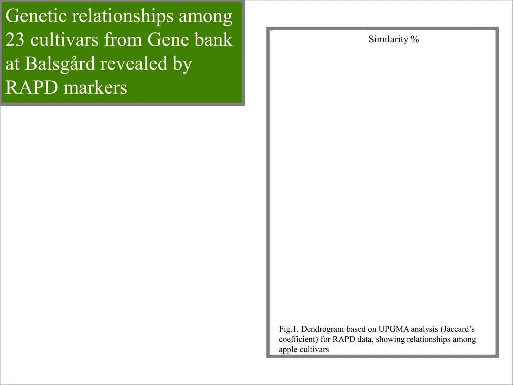 genetic relationships among 23 cultivars from