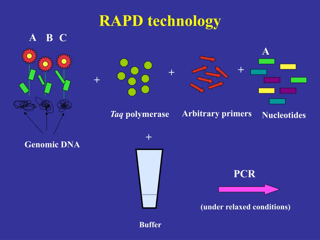 rapd technology