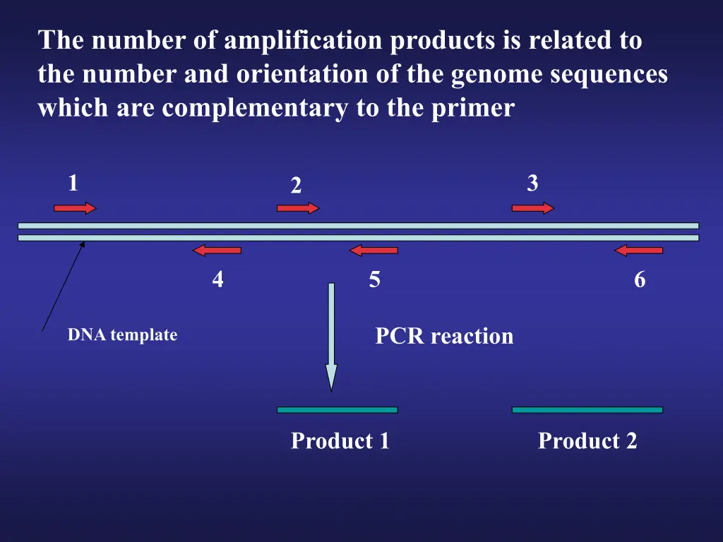 the number of amplification products is related
