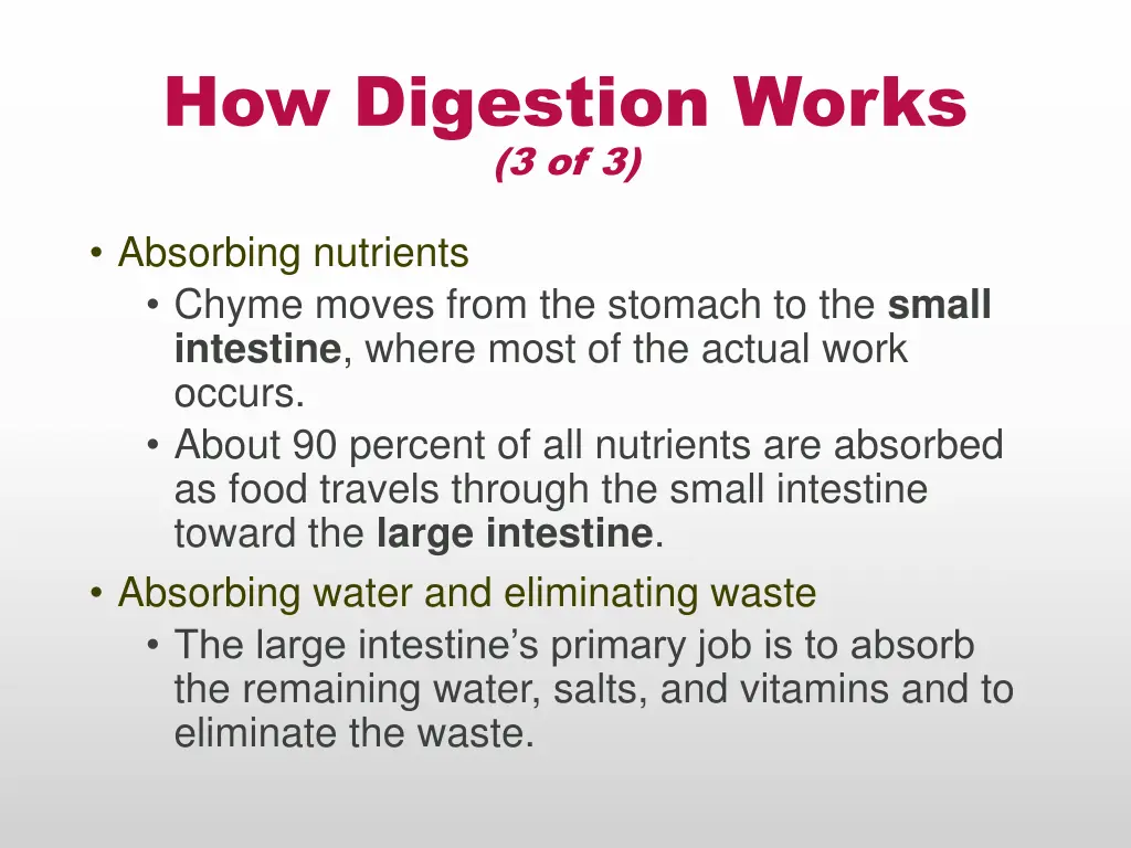 how digestion works 3 of 3