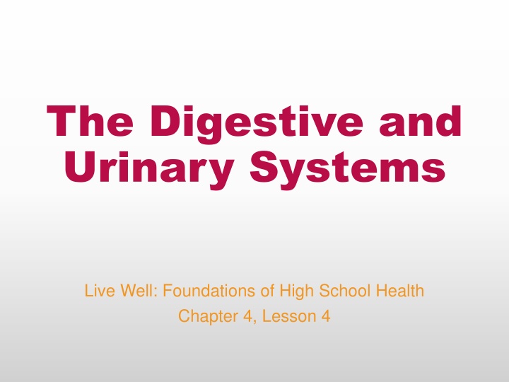 the digestive and urinary systems