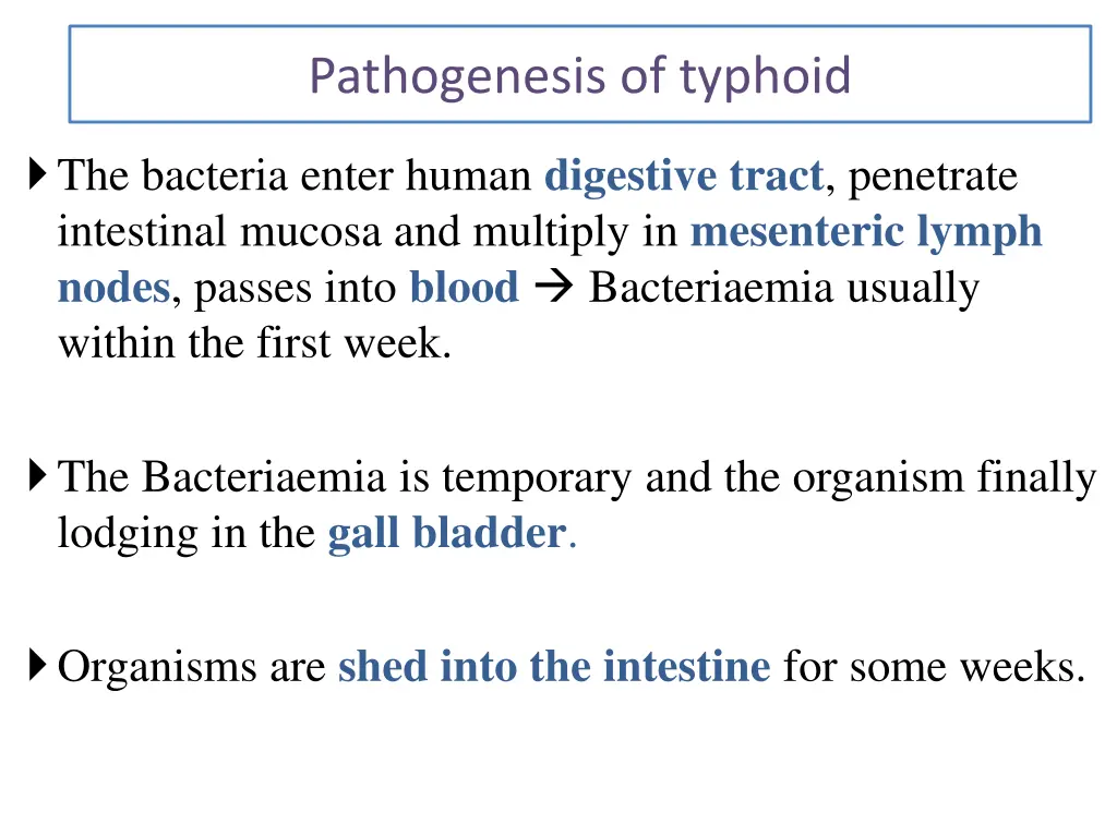 pathogenesis of typhoid