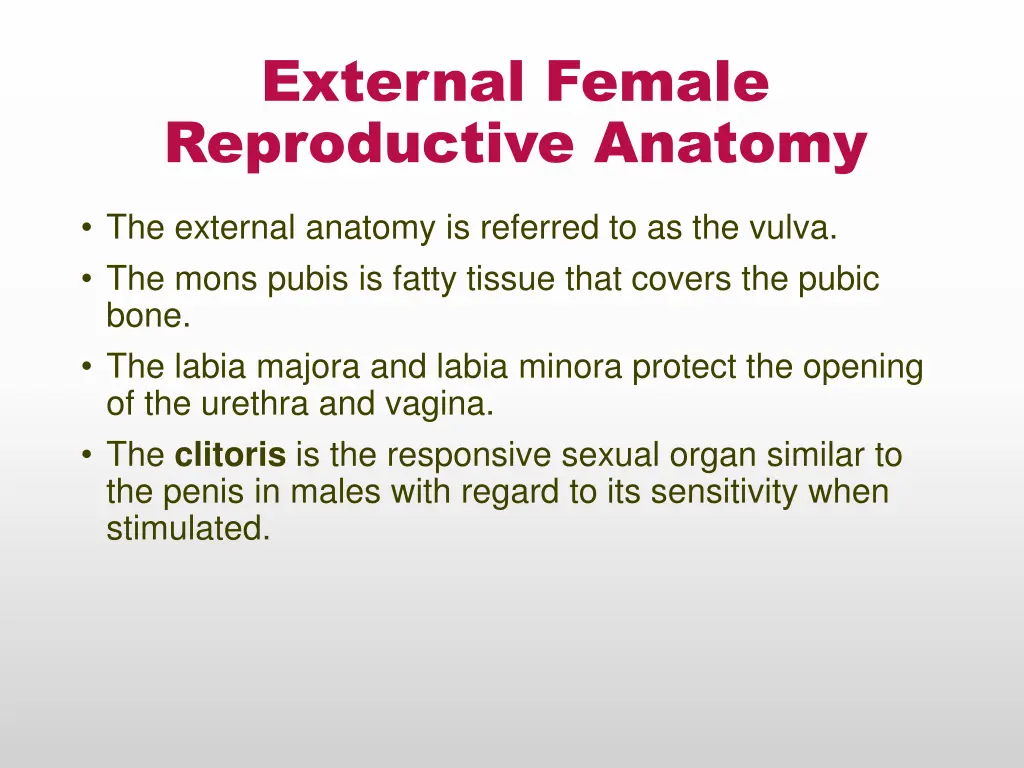 external female reproductive anatomy