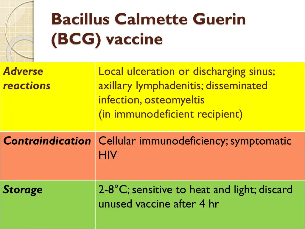 bacillus calmette guerin bcg vaccine