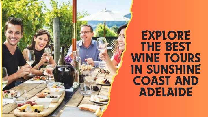 explore the best wine tours in sunshine coast