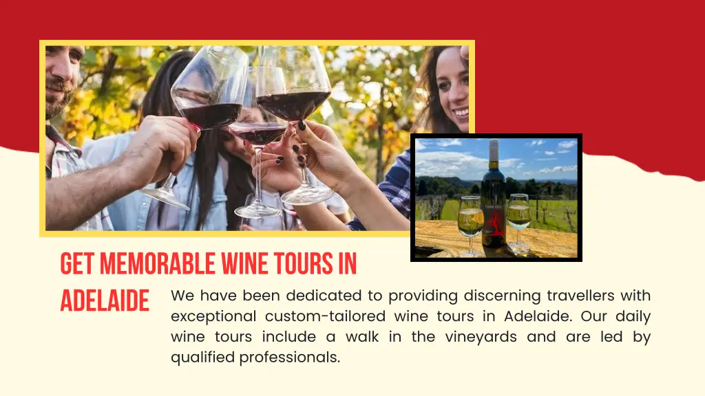 get memorable wine tours in adelaide exceptional