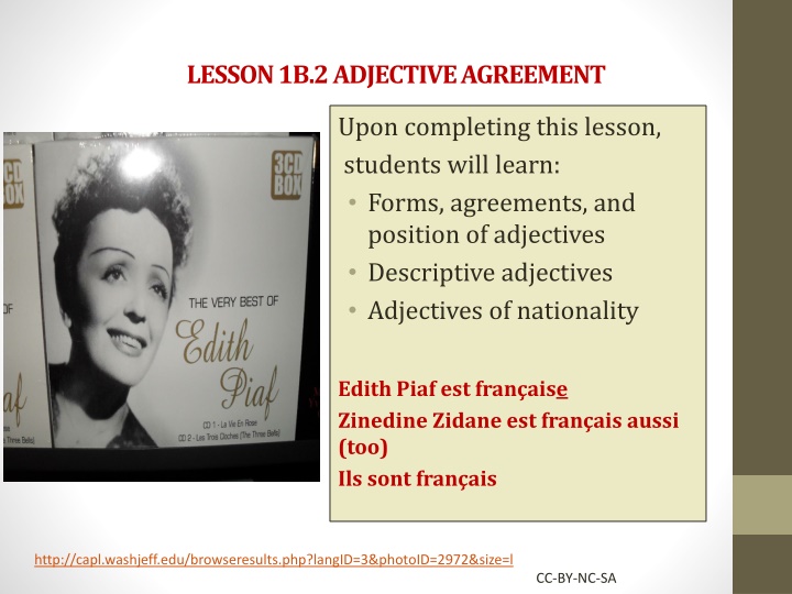lesson 1b 2 adjective agreement