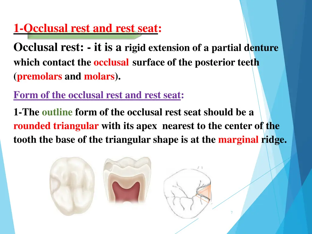1 occlusal rest and rest seat occlusal rest