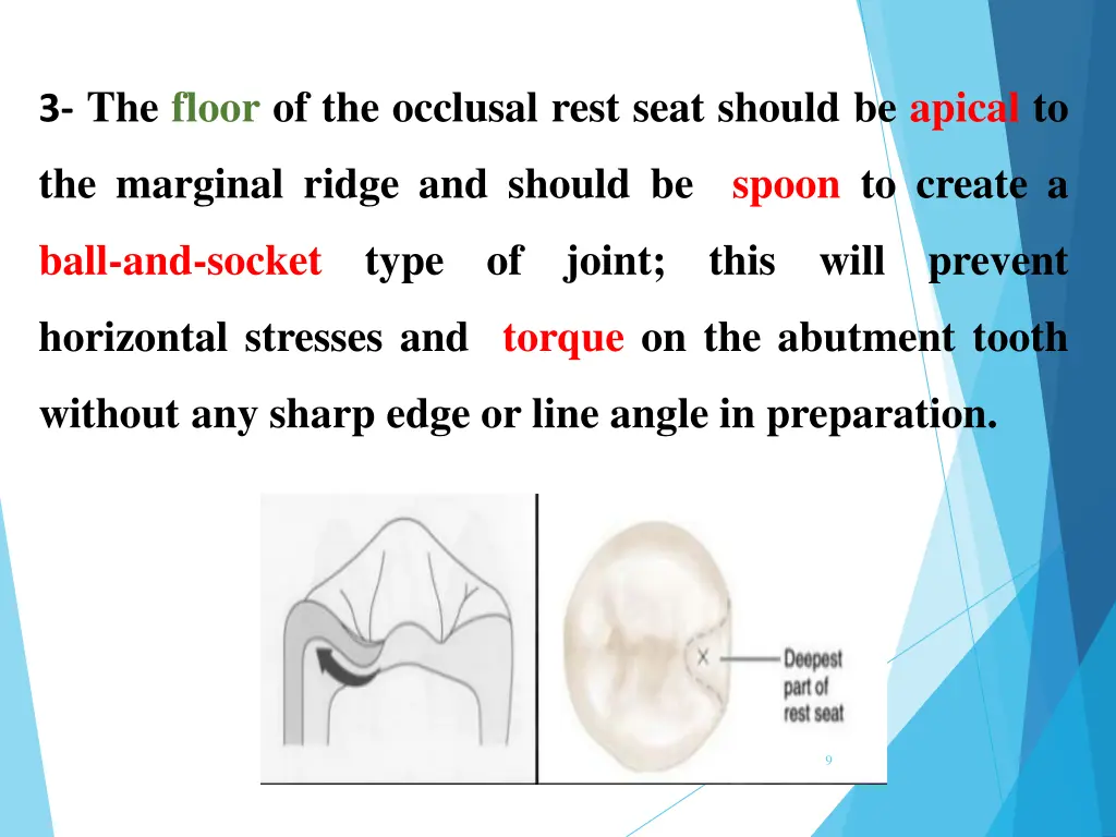 3 the floor of the occlusal rest seat should