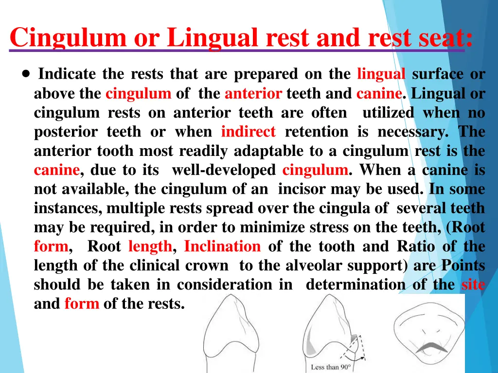 cingulum or lingual rest and rest seat indicate