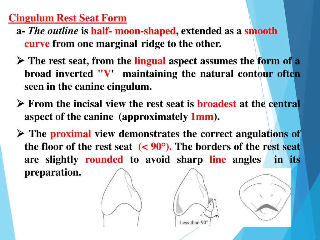 cingulum rest seat form a the outline is half