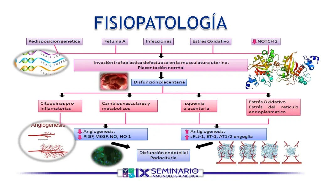 fisiopatolog a