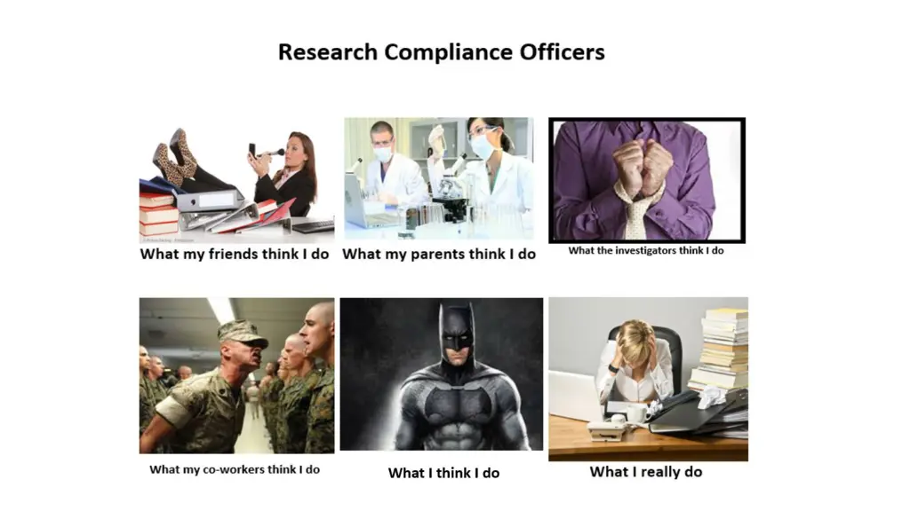 slide23