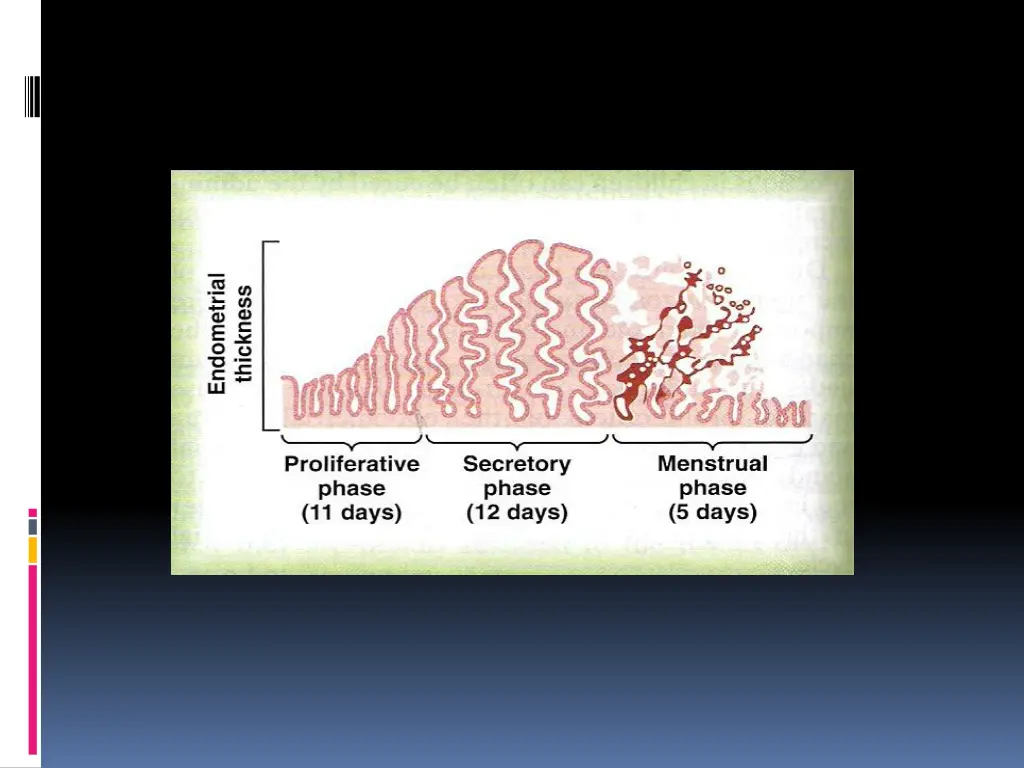 slide5