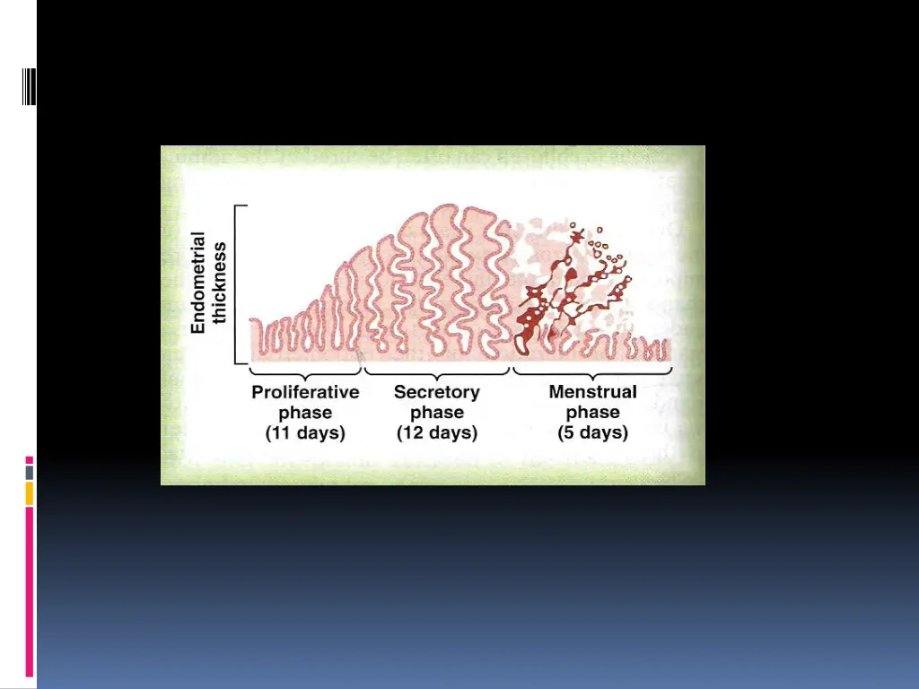 slide7