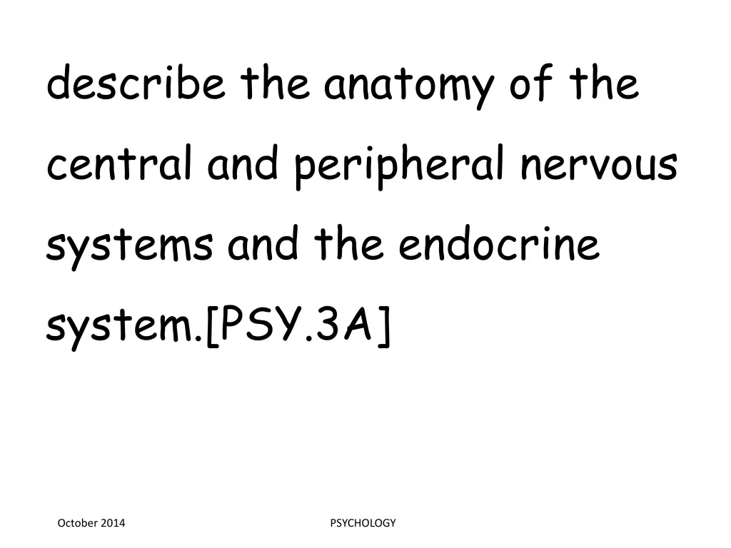describe the anatomy of the central