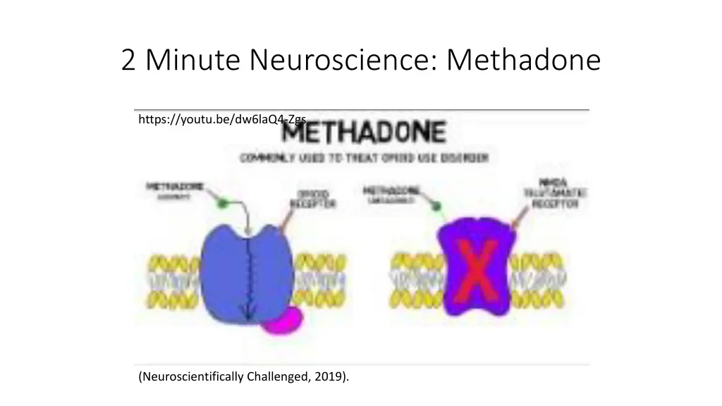 2 minute neuroscience methadone