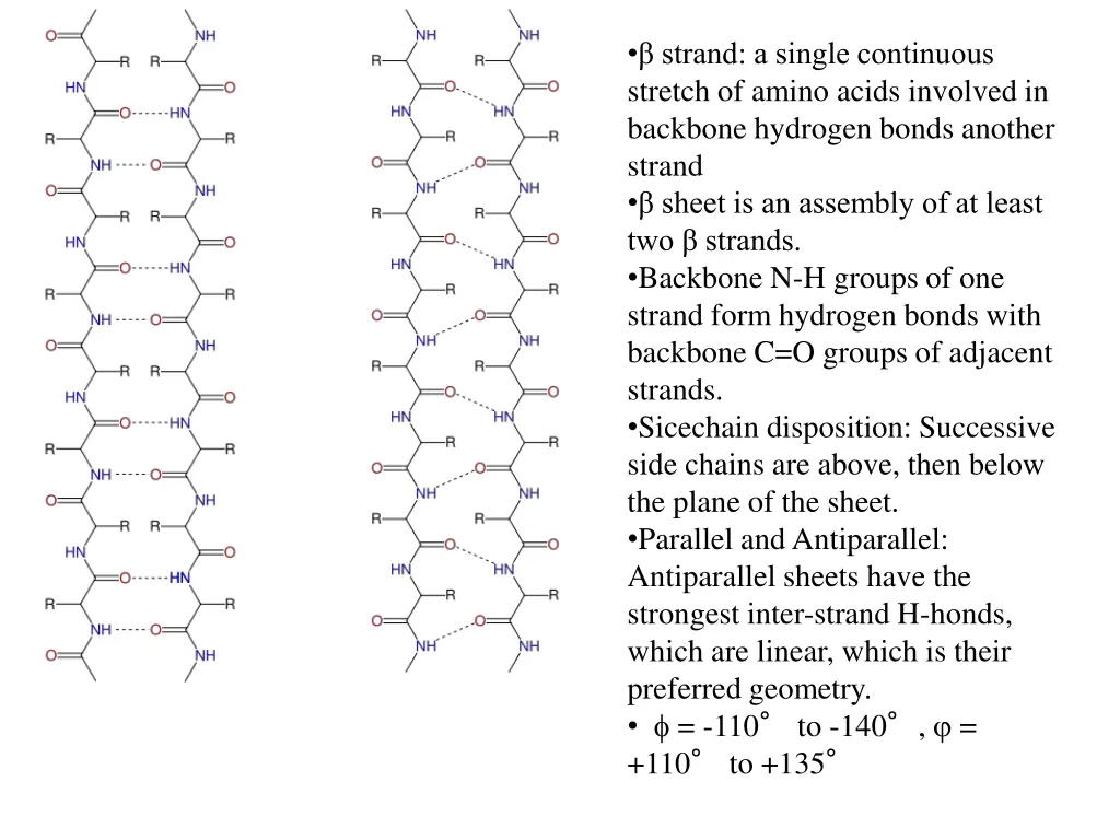 strand a single continuous stretch of amino acids