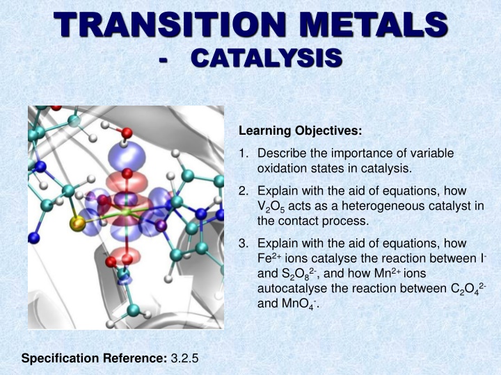 transition metals catalysis