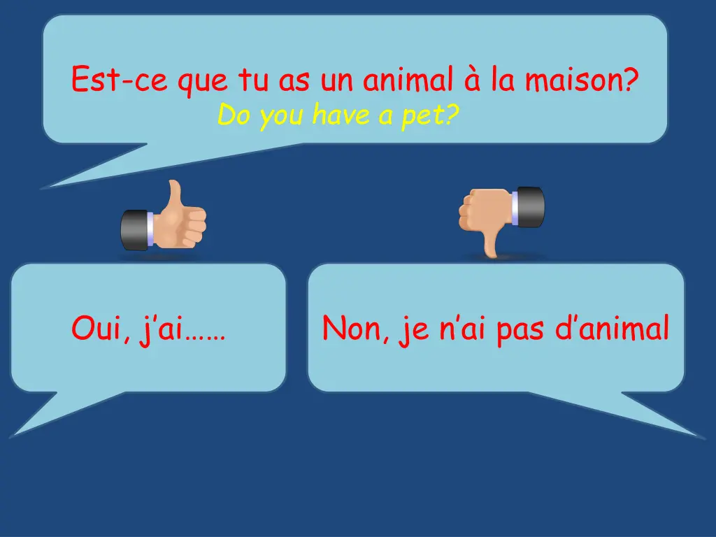 est ce que tu as un animal la maison do you have