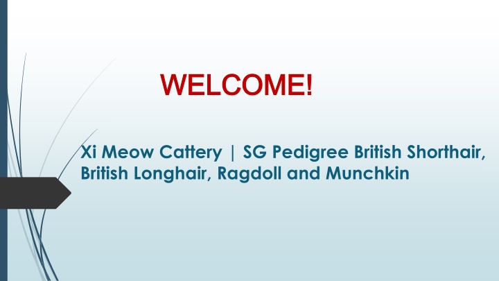 welcome welcome