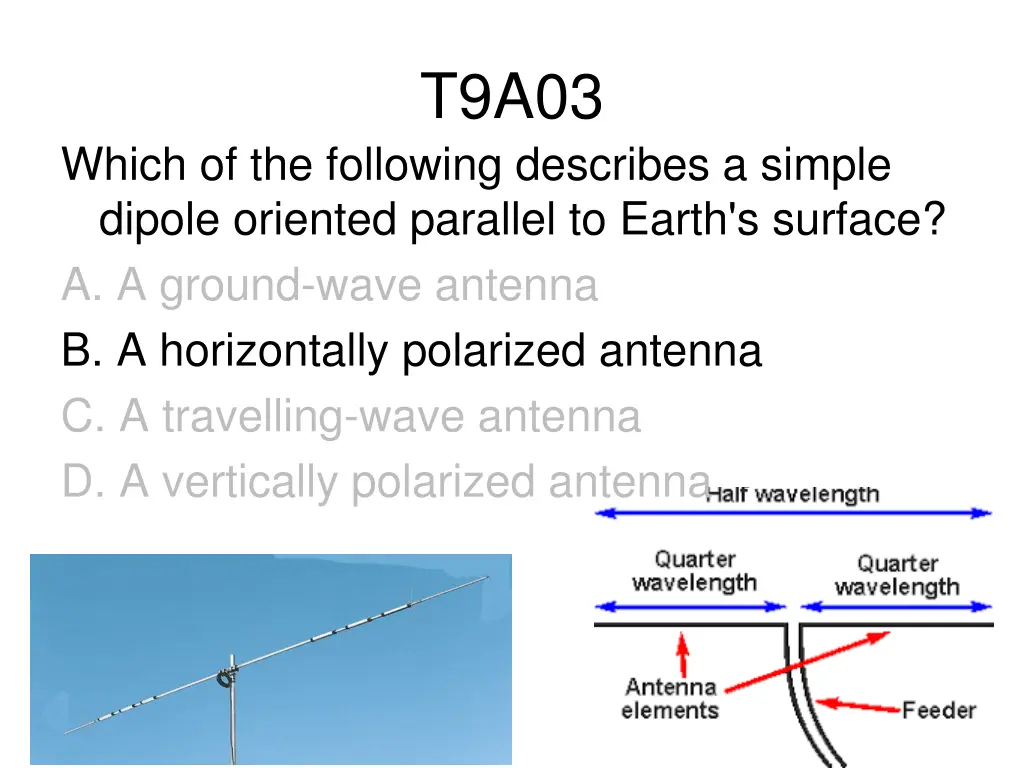 t9a03 1