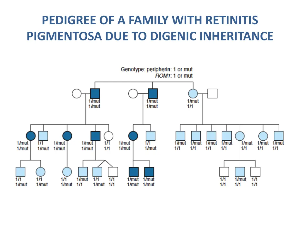 pedigree of a family with retinitis pigmentosa