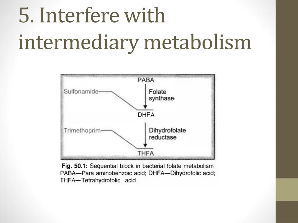 5 interfere with intermediary metabolism