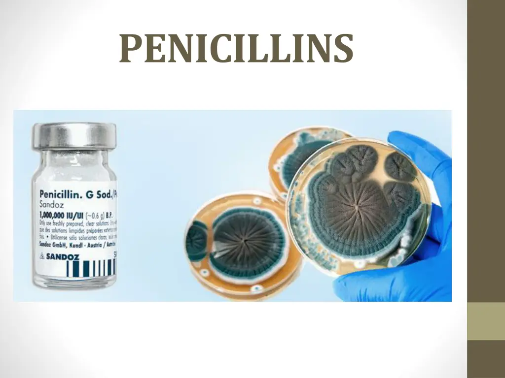 penicillins