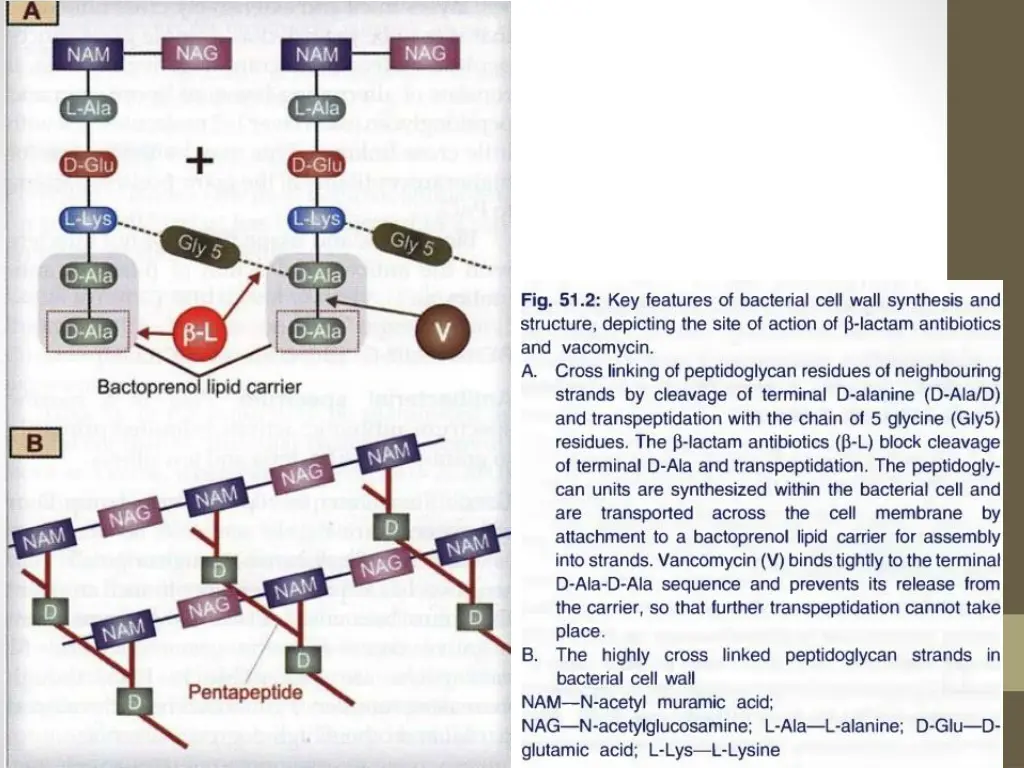 slide32