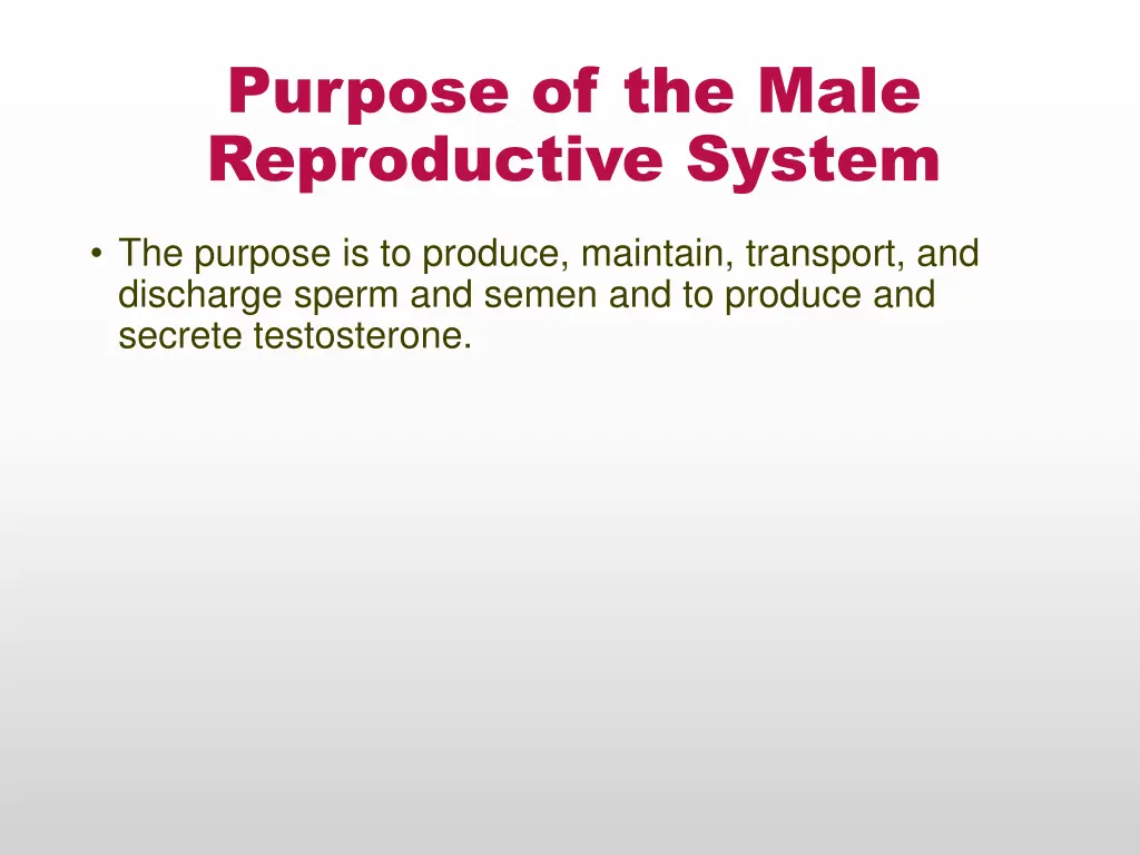 purpose of the male reproductive system