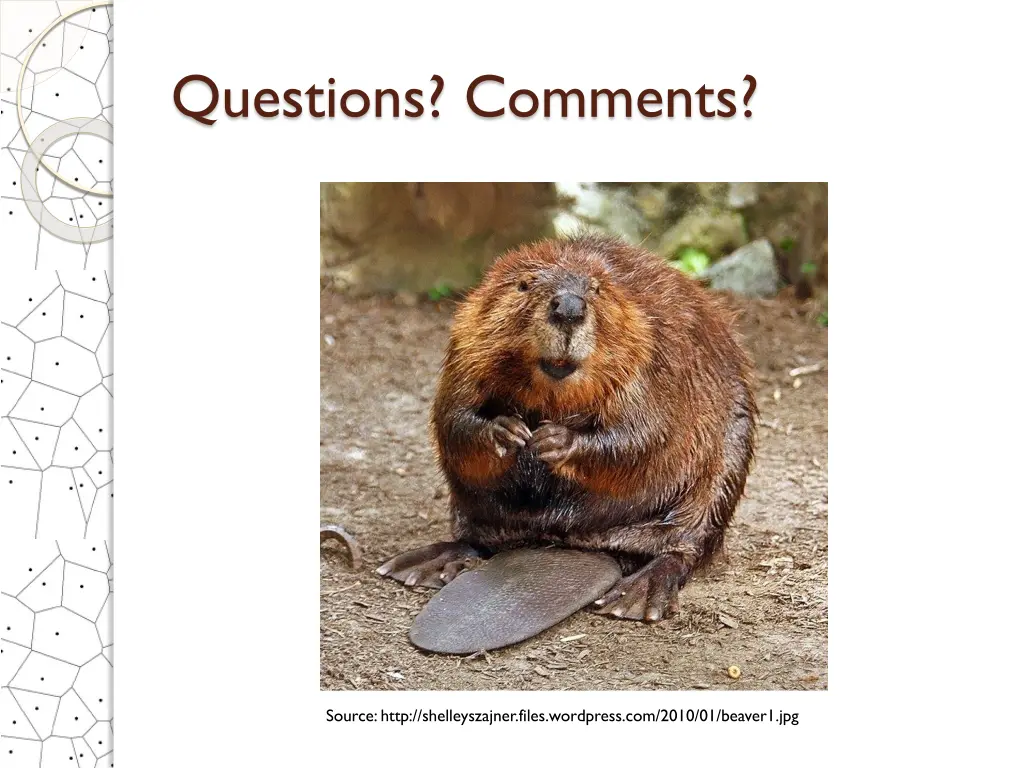questions comments
