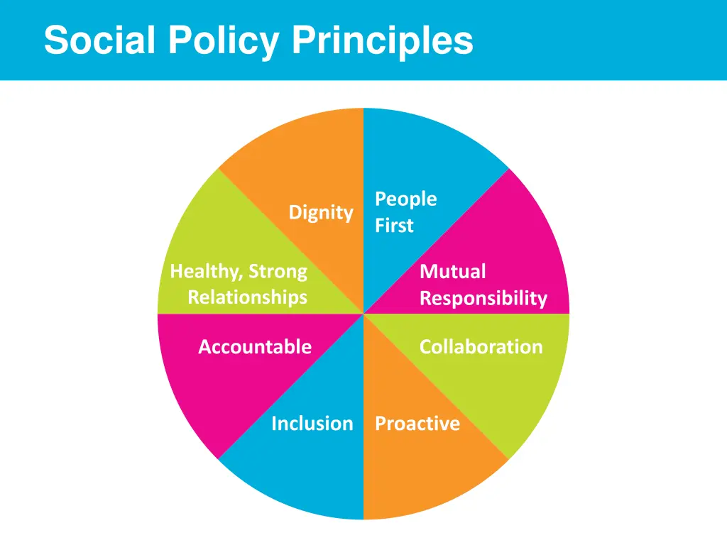 social policy principles