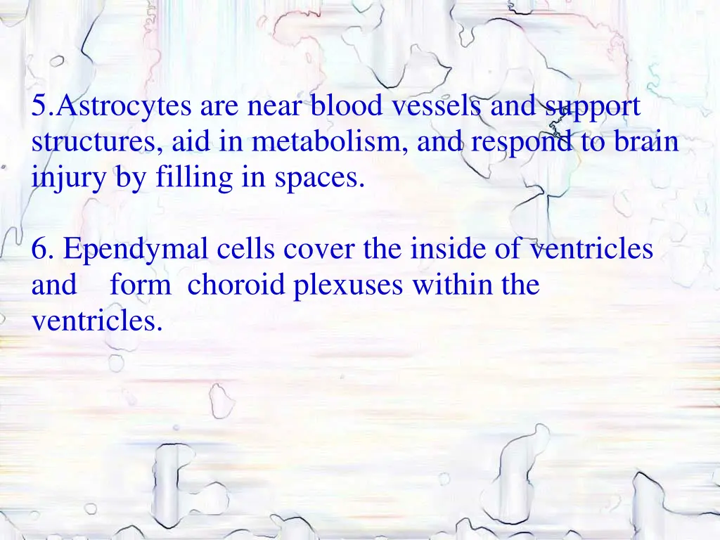 5 astrocytes are near blood vessels and support