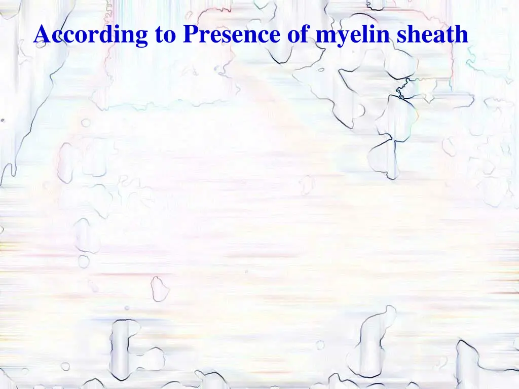 according to presence of myelin sheath