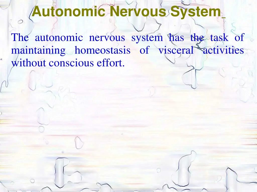 autonomic nervous system