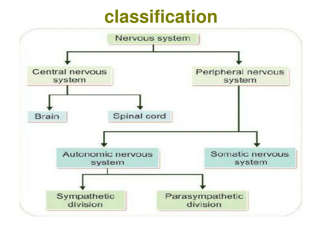 classification